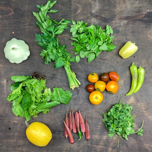 2021-csa-week-14-share