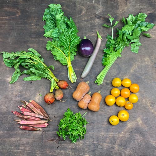 2021-csa-week-19-share