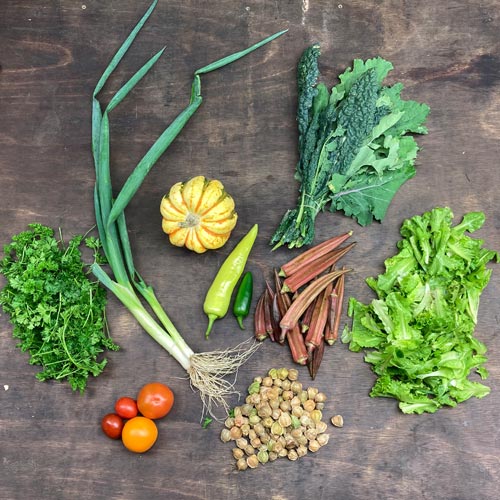 2021-csa-week-21-share