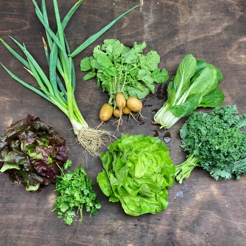 2021-csa-week-4-share