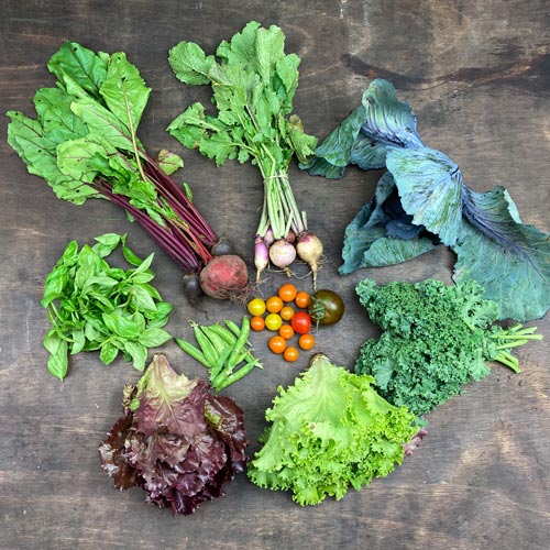 2021-csa-week-7-share