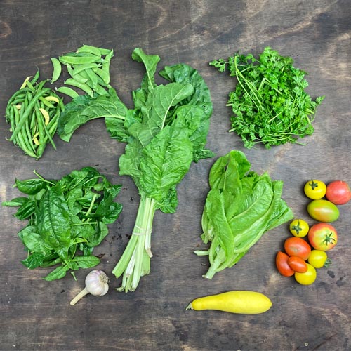 2022-csa-week-11-share