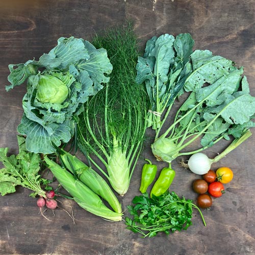 2022-csa-week-12-share