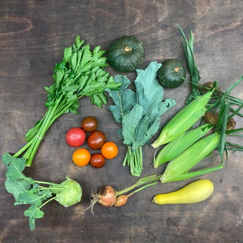 2022-csa-week-13-share