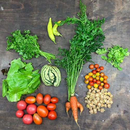 2022-csa-week-15-share