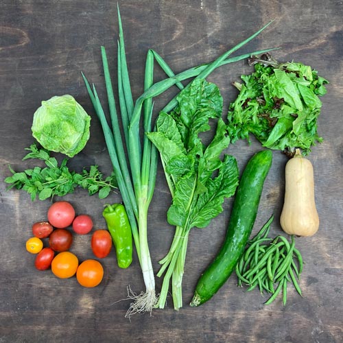 2022-csa-week-16-share