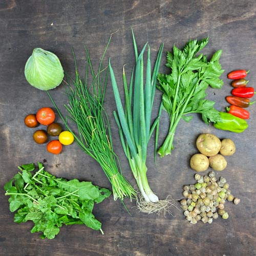 2022-csa-week-22-share