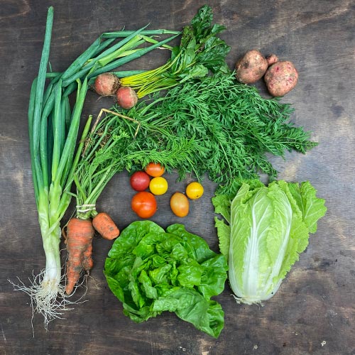 2022-csa-week-24-share