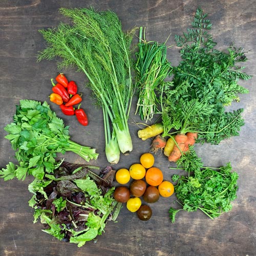 2022-csa-week-25-share