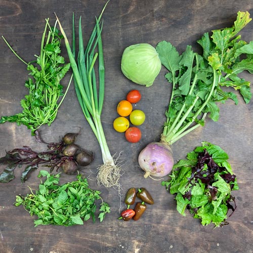 2022-csa-week-26-share