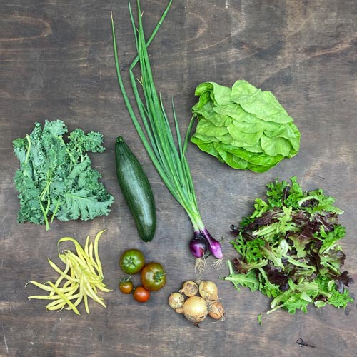 2022-csa-week-8-share