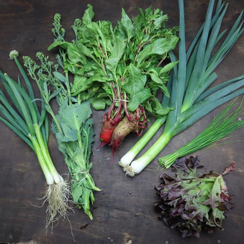 2023-csa-week-1-share