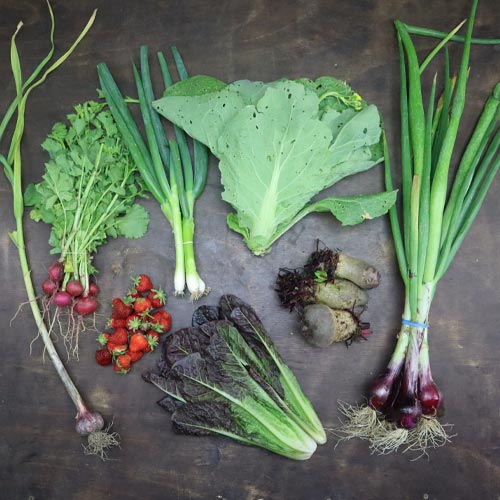 2023-csa-week-4-share