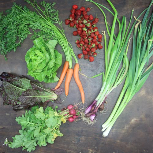 2023-csa-week-5-share