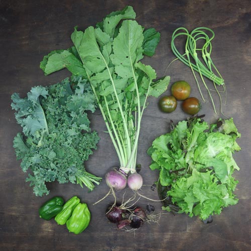 2023-csa-week-8-share