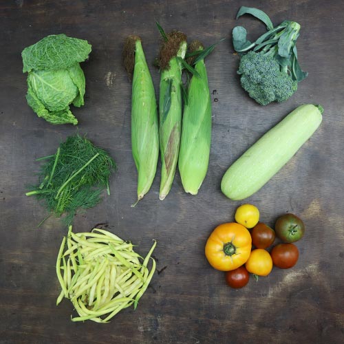 2023-csa-week-13-share