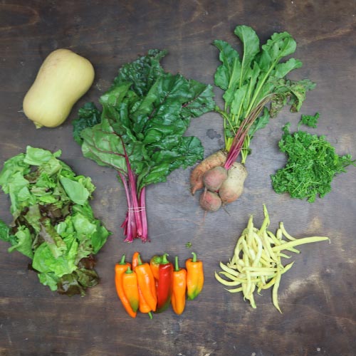 2023-csa-week-20-share