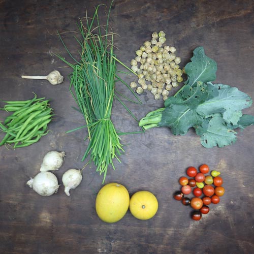 2023-csa-week-21-share