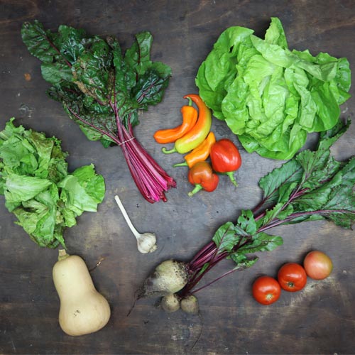 2023-csa-week-22-share