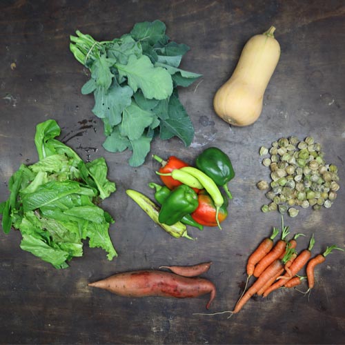 2023-csa-week-24-share