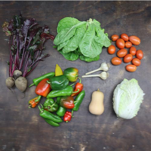 2023-csa-week-27-share