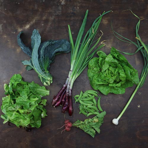 2024-csa-week-3-share