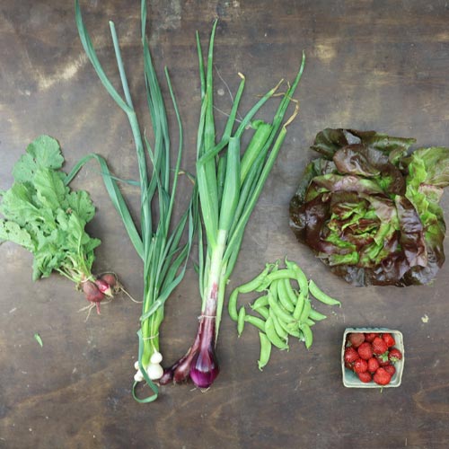 2024-csa-week-4-share