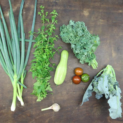 2024-csa-week-7-share