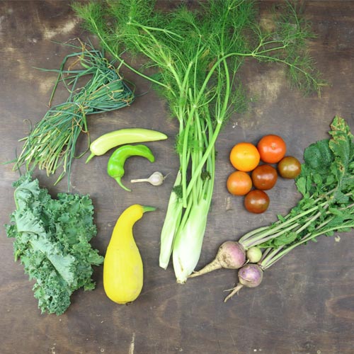 2024-csa-week-11-share