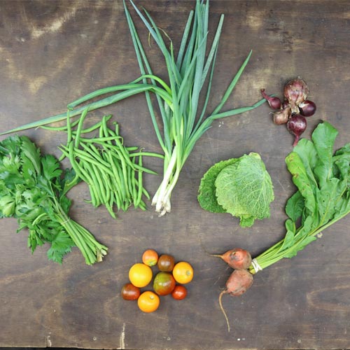 2024-csa-week-12-share