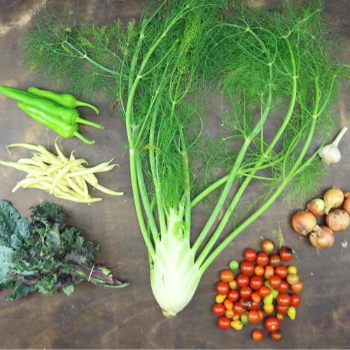 2024-csa-week-14-share