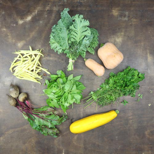 2024-csa-week-18-share