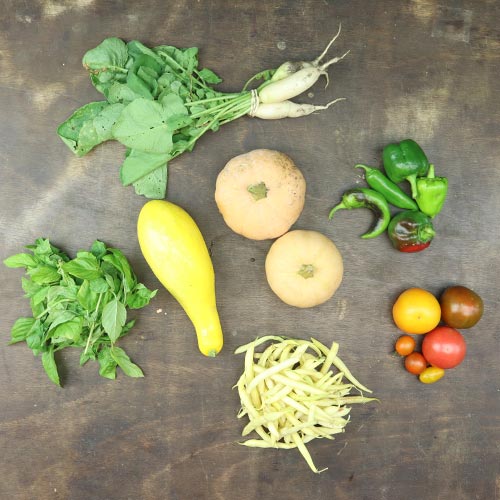 2024-csa-week-20-share