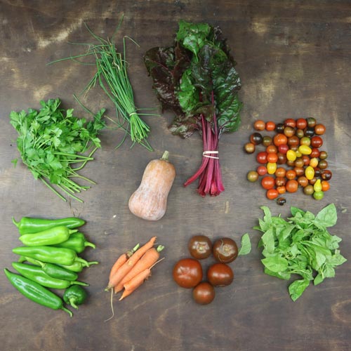 2024-csa-week-23-share