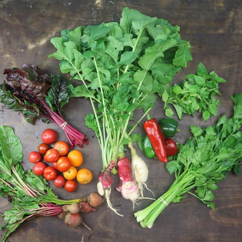 2024-csa-week-25-share