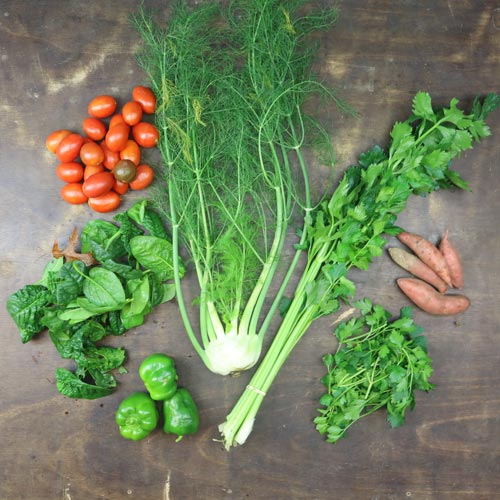 2024-csa-week-28-share