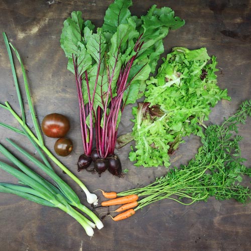 2025-csa-week-5-share