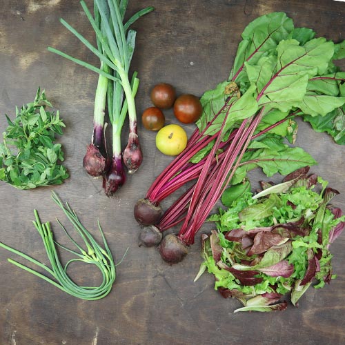 2025-csa-week-6-share