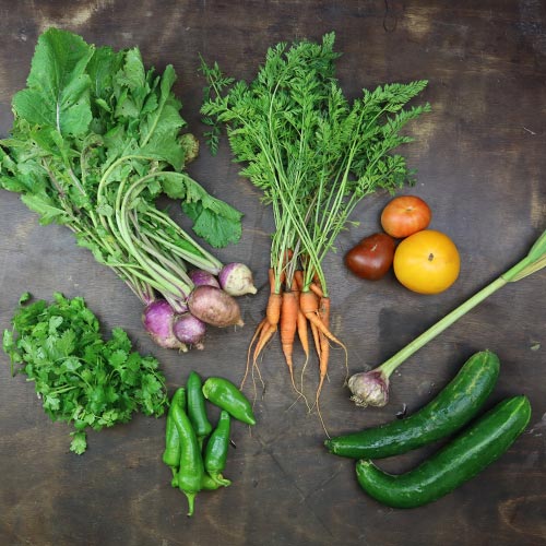 2025-csa-week-7-share