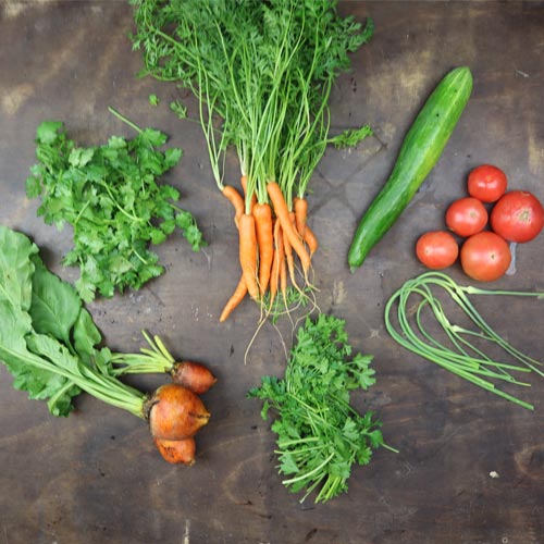 2025-csa-week-8-share