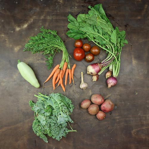 2025-csa-week-10-share