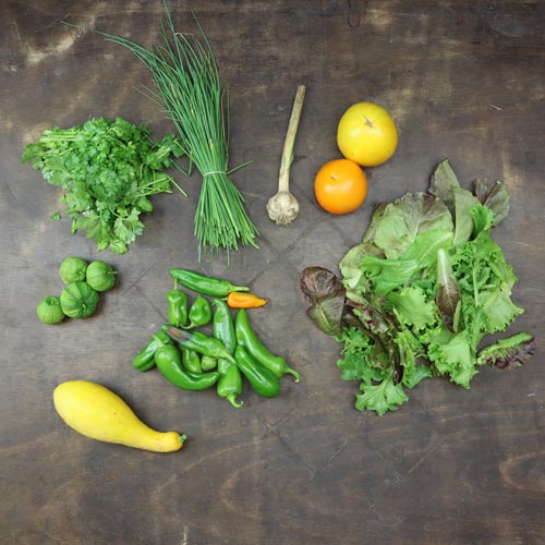 2025-csa-week-9-share