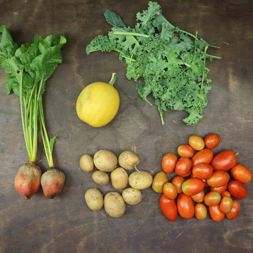 2025-csa-week-14-share