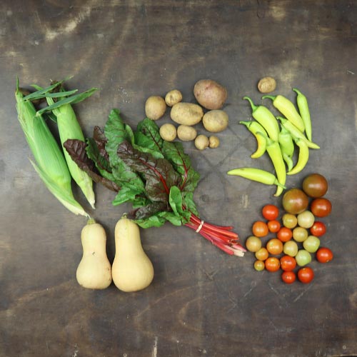 2025-csa-week-16-share