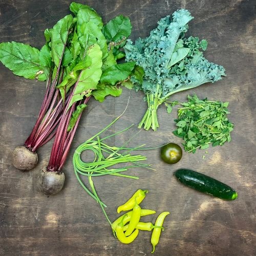 2026-csa-week-6-share