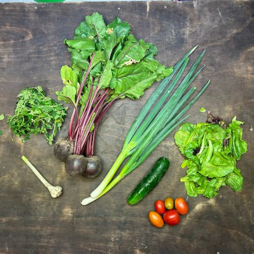2026-csa-week-8-share
