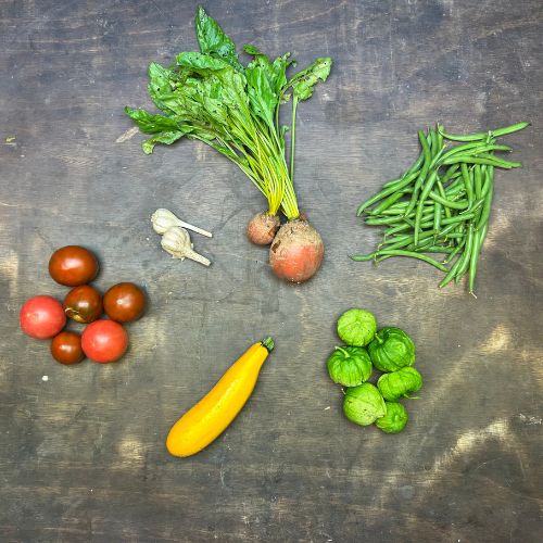 2026-csa-week-14-share