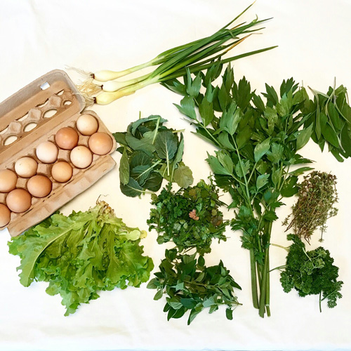 2017-csa-week-1-share