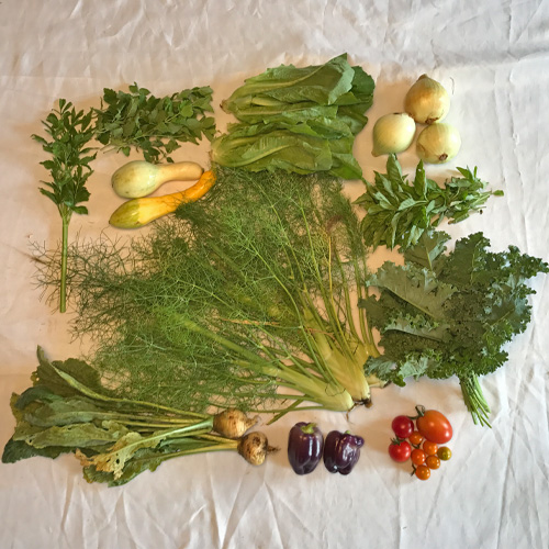 2017-csa-week-10-share