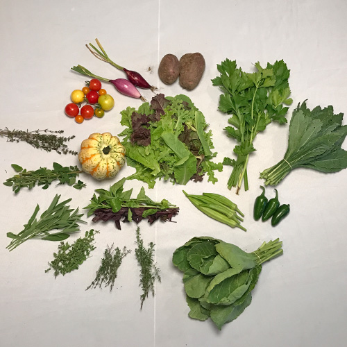 2017-csa-week-12-share